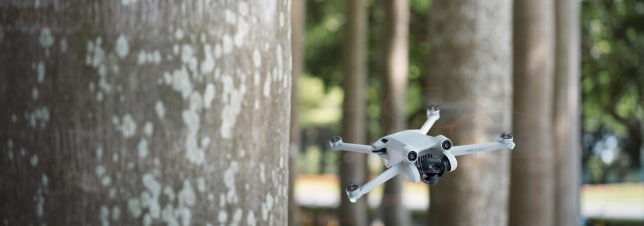 DJI Mini 3 Pro voando entre árvores