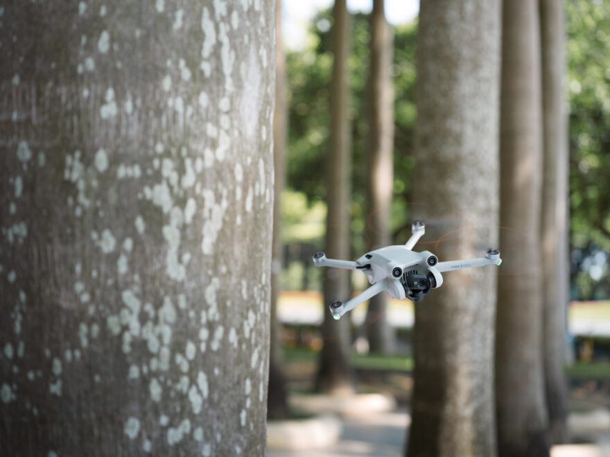 DJI Mini 3 Pro voando entre árvores