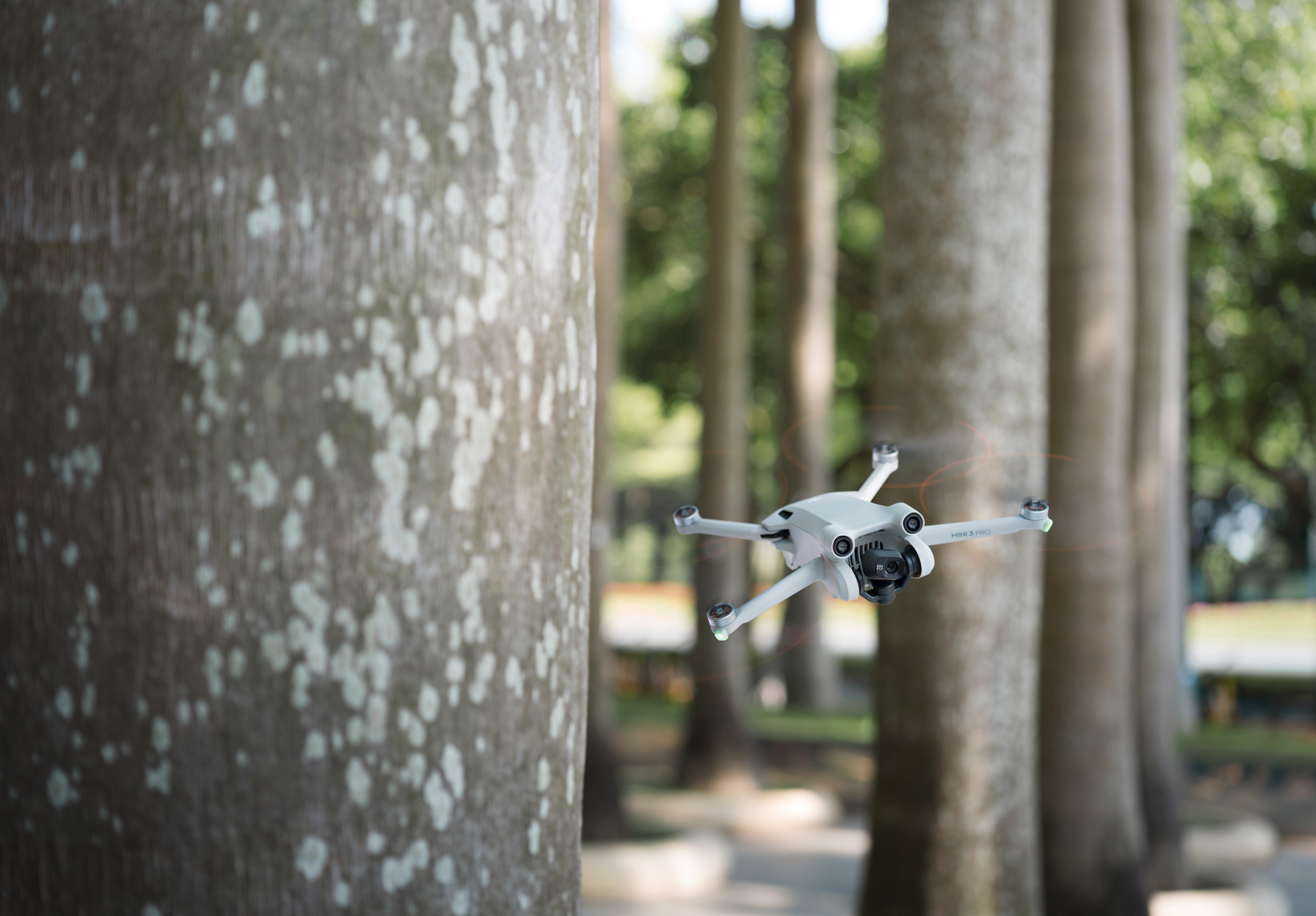 DJI Mini 3 Pro voando entre árvores
