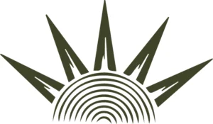 Imagem de um sol nascente no estilo armorial, respeitando a estética nordestina